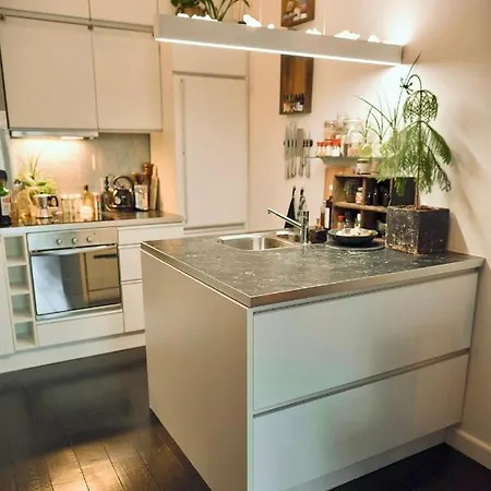 Lovely, 1898 Jugendstil Design Apartment, Old Centre, Fully Renovated With Parkview Near Amsterdam And Zandvoort, Bloemendaal *