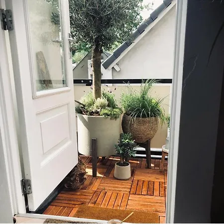 Jugendstil Parkview: 1898 Renovated Apartment