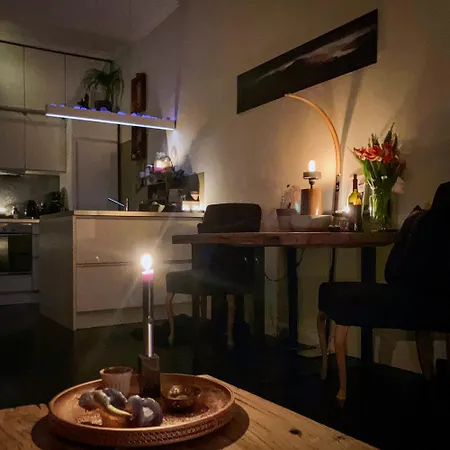 Apartment Jugendstil Parkview: 1898 Renovated Haarlem