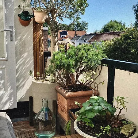 Jugendstil Parkview: 1898 Renovated *