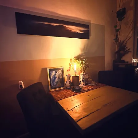 Lovely, 1898 Jugendstil Design Apartment, Old Centre, Fully Renovated With Parkview Near Amsterdam&zandvoort, Bloemendaal Appartement Haarlem