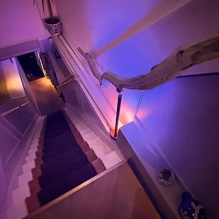 شقة Lovely, 1898 Jugendstil Design Apartment, Old Centre, Fully Renovated With Parkview Near Amsterdam And Zandvoort, Bloemendaal هارلم